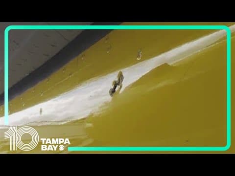 Haitian gangs open fire on Spirit Airlines flight from Florida