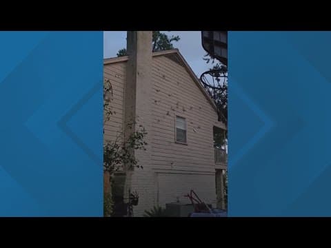 Texas renters discover protected species has taken over their home