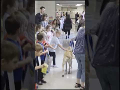 The kids at a MN elementary school sent Finn off in style — tail wagging all the way.