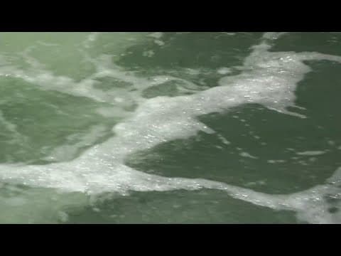 Millions of gallons of partially treated wastewater released into Old Tampa Bay
