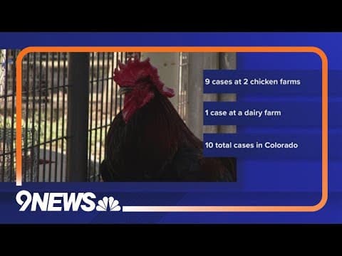 More human cases of avian flu reported in northern Colorado