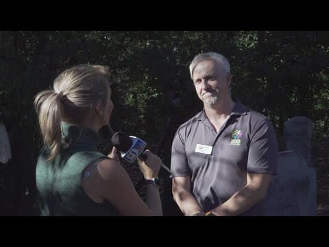 'Boo! At the Zoo' is back at Zoo Knoxville
