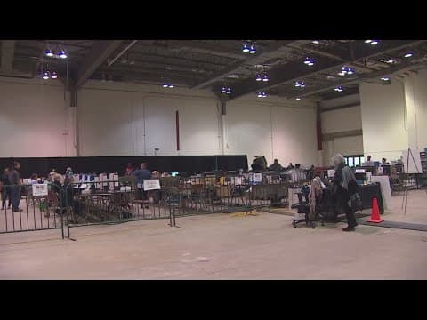 Judge temporarily blocks state law that eliminated Harris County elections administrator