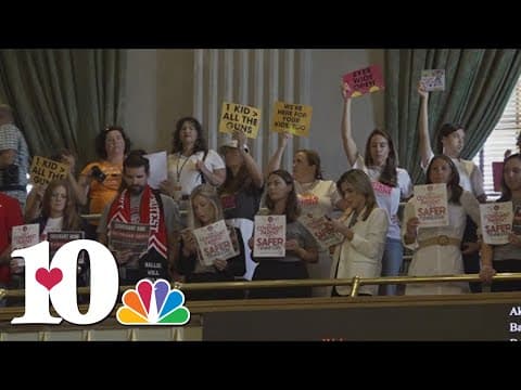 Moms, protesters demand action to 'do more' in TN special session as lawmakers hit impasse