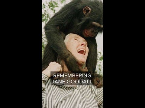 Jane Goodall is remembered by close friend