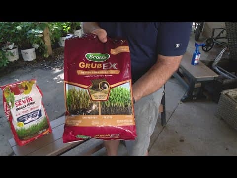 Pat Sullivan's tips on how to solve problems in your garden