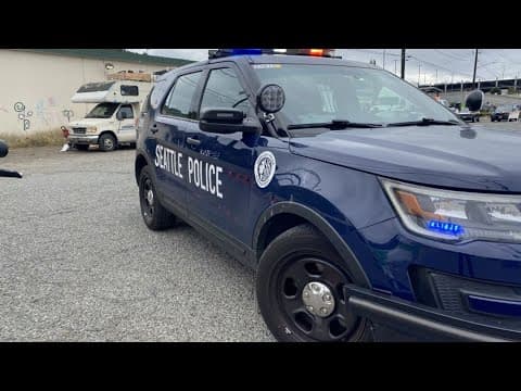 Seattle police chief provides update on violent robbery cases