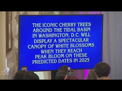Peak Bloom 2025: Here's when National Park Service says DC blossoms will peak