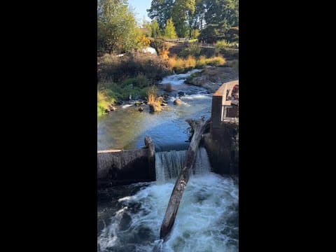 Fall salmon run on the Deschutes River