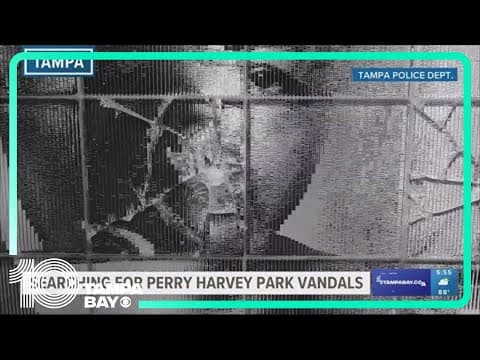 YouTube thumbnail for video rKd7_bWQWY0