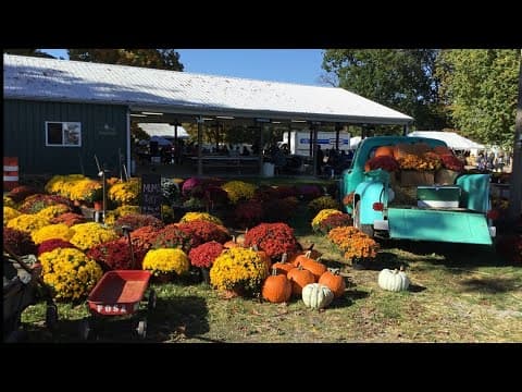 Special preview of the annual Lucketts Fall Market