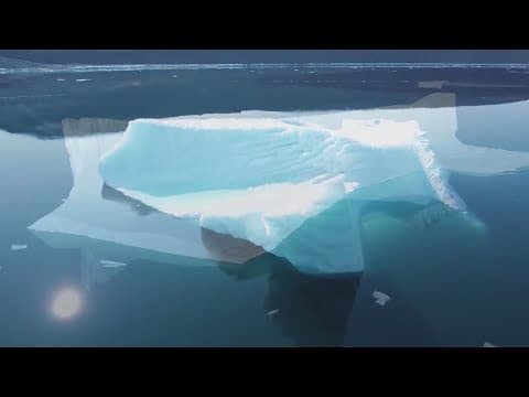 November was the warmest month on record