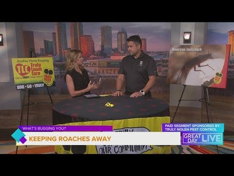 What's bugging you? Summer roaches