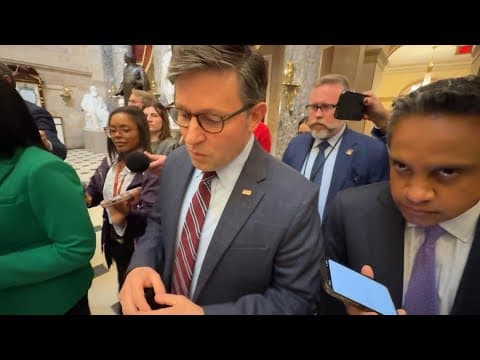 Speaker Mike Johnson speaks on President Trump's tariffs