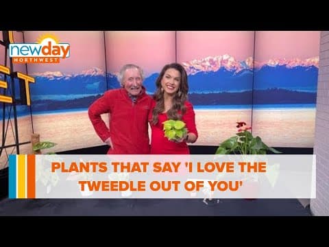Plants that say 'I love the tweedle out of you' - New Day NW