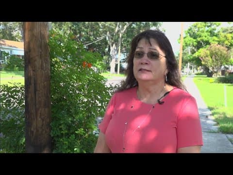 Tampa City Council could approve changes to comprehensive plan on Thursday