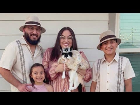 Houston woman's cat quinceañera goes viral, unexpectedly saves local shelter