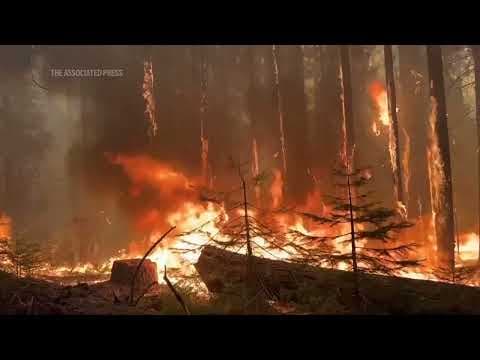 Park Fire in California reawakens and burns more land