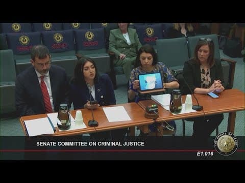 Texas Senate committee tackles several bills on bail reform