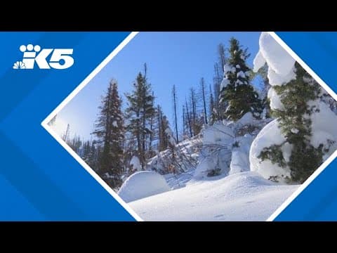 YouTube thumbnail for video rcBCS_FcS24