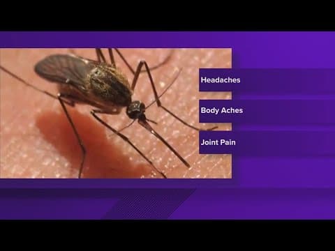 Mosquitos in Indianapolis test positive for West Nile virus