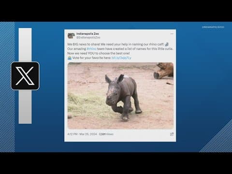 Indianapolis Zoo holding contest to name the zoo's newest baby Rhino