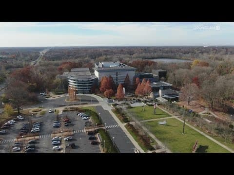 Questions raised over Newfields CEO's sudden departure