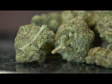 Texas House committee makes major changes to consumable THC bill, advances it to full House