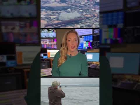 Uptick expected for Pacific Northwest salmon returns