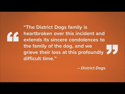 District Dogs employee fired after dog dies at Navy Yard location