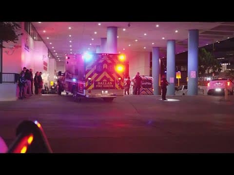 Dallas police officer killed in ambush, 2 others injured