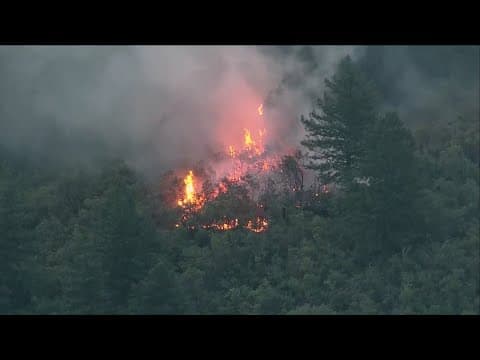 Wildfires burn over two million acres out west