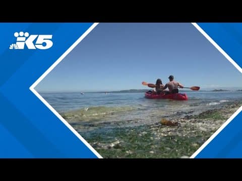 People hit the beach as hot temperatures linger in western Washington