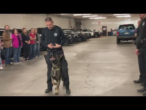 Latest headlines: Deputy acquitted of charges related to his K-9 injuring a child, father