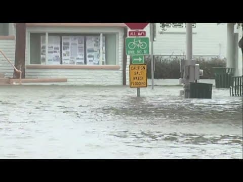 Hurricane Idalia made landfall in Florida as strong Category 3 storm, causing damage
