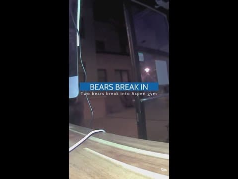Bears break into Aspen gym