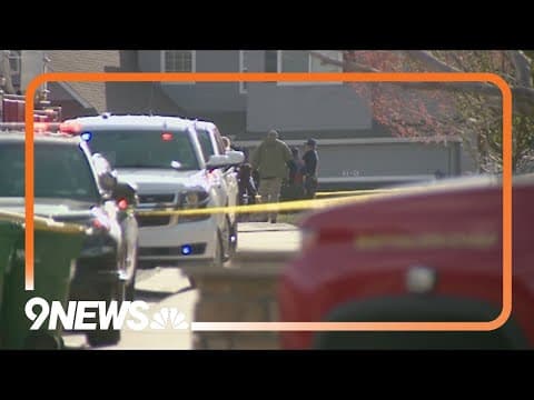 Man pleads guilty to fatally stabbing mom in Castle Rock home