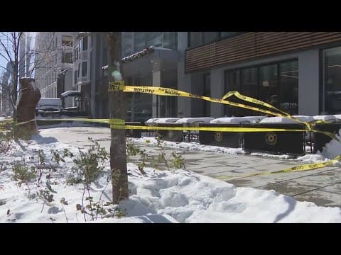 Independent agency demands answers from power company after dogs shocked on DC sidewalk