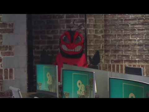 A bee takes over the 6pm newscast
