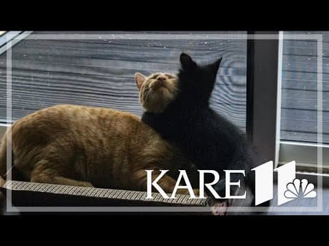 Your Good News: Steph Lang, Jerry and Sue