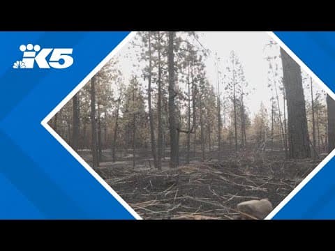 A look ahead at the wildfire forecast