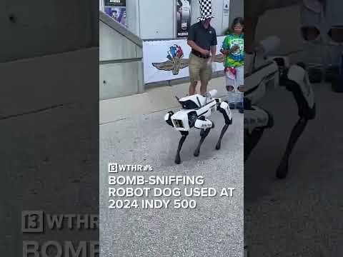 Bomb-sniffing robot dog used at 2024 Indy 500