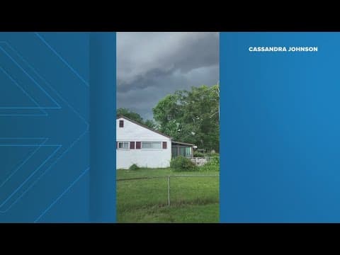 Who's responsible for the tree that hit my house?