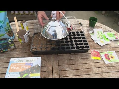 Pat Sullivan's tips for planting new seedlings