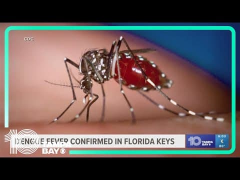 Dengue fever confirmed in the Florida Keys