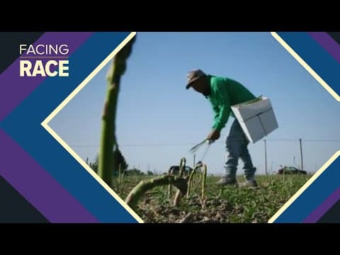 What Trump's immigration policies mean for the Washington agriculture industry