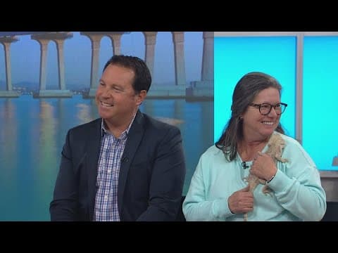 Here's what nonprofits you can help in San Diego County this 'Giving Tuesday'