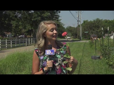 Maker Monday: Rainbow Roots Floral in Maryville