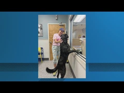 Push to end MayDay at St. Tammany Parish Shelter