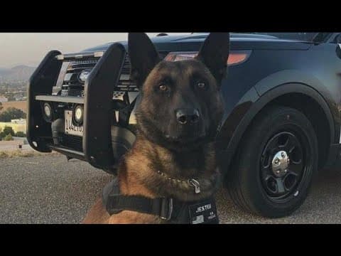 San Diego top stories on Tuesday, June 7, 2022